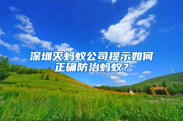 深圳滅螞蟻公司提示如何正確防治螞蟻？