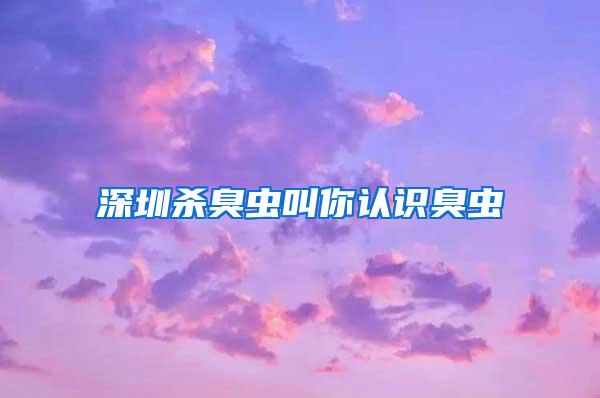 深圳殺臭蟲叫你認(rèn)識臭蟲