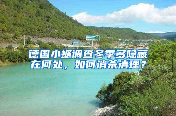 德國小蠊調(diào)查冬季多隱藏在何處，如何消殺清理？
