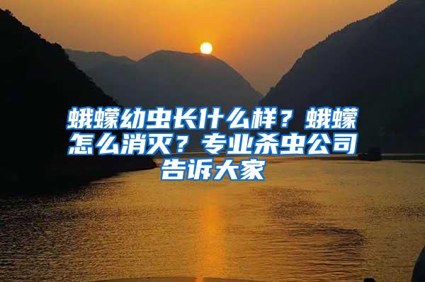 蛾蠓幼蟲長什么樣？蛾蠓怎么消滅？專業殺蟲公司告訴大家