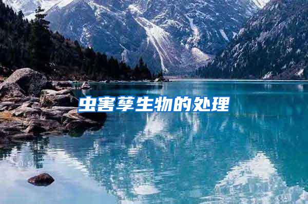 蟲(chóng)害孳生物的處理