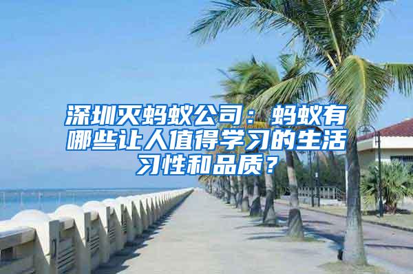 深圳滅螞蟻公司：螞蟻有哪些讓人值得學習的生活習性和品質？