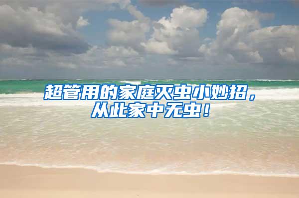 超管用的家庭滅蟲小妙招，從此家中無蟲！