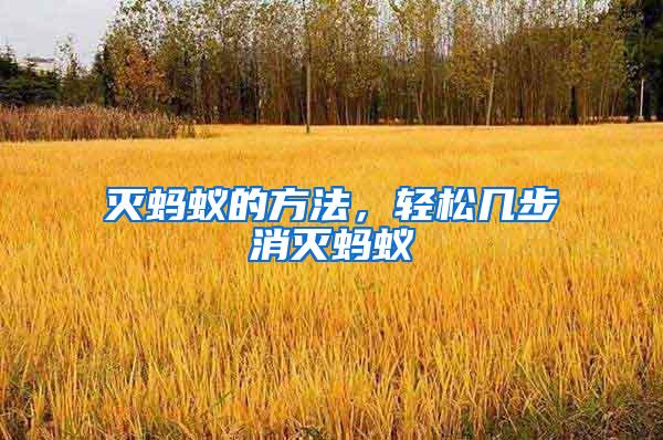滅螞蟻的方法，輕松幾步消滅螞蟻