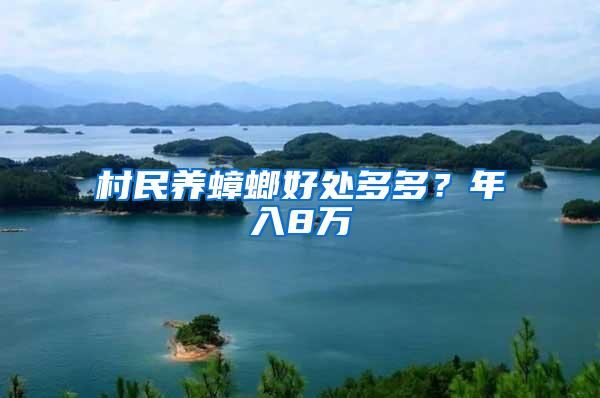 村民養蟑螂好處多多？年入8萬