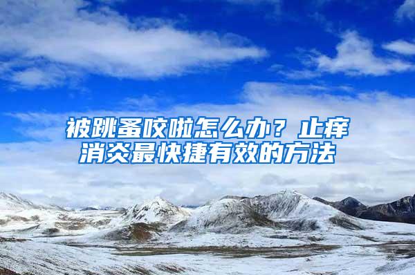被跳蚤咬啦怎么辦？止癢消炎最快捷有效的方法