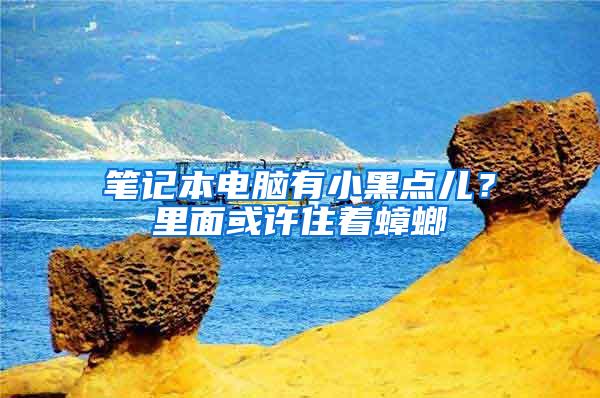筆記本電腦有小黑點兒？里面或許住著蟑螂