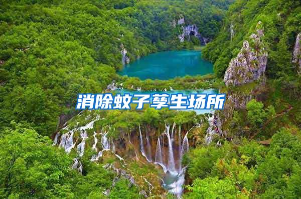 消除蚊子孳生場(chǎng)所