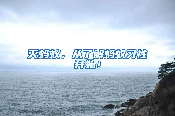滅螞蟻，從了解螞蟻習(xí)性開始！