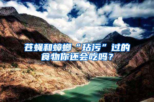 蒼蠅和蟑螂“玷污”過的食物你還會吃嗎？