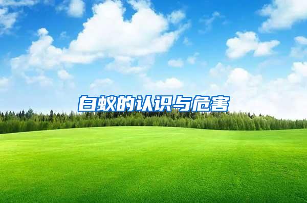 白蟻的認(rèn)識(shí)與危害