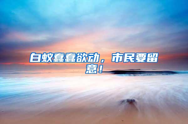 白蟻蠢蠢欲動，市民要留意！