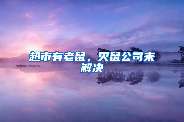 超市有老鼠，滅鼠公司來(lái)解決