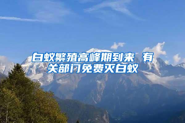白蟻繁殖高峰期到來 有關(guān)部門免費滅白蟻