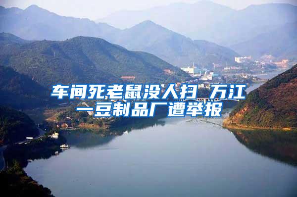 車間死老鼠沒(méi)人掃 萬(wàn)江一豆制品廠遭舉報(bào)