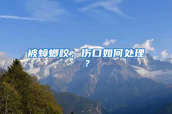被蟑螂咬，傷口如何處理？