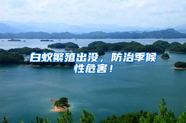 白蟻繁殖出沒，防治季候性危害！
