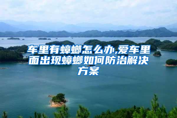 車里有蟑螂怎么辦,愛車里面出現(xiàn)蟑螂如何防治解決方案