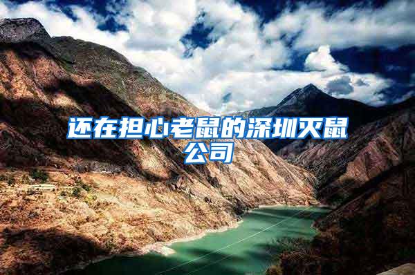 還在擔(dān)心老鼠的深圳滅鼠公司