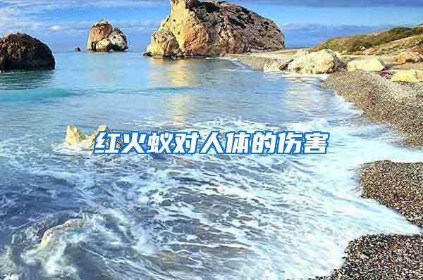 紅火蟻對(duì)人體的傷害