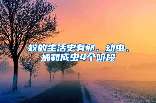 蟻的生活史有卵、幼蟲、蛹和成蟲4個(gè)階段