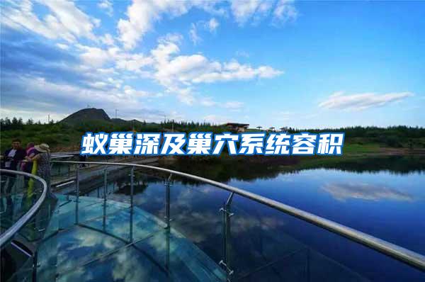 蟻巢深及巢穴系統(tǒng)容積