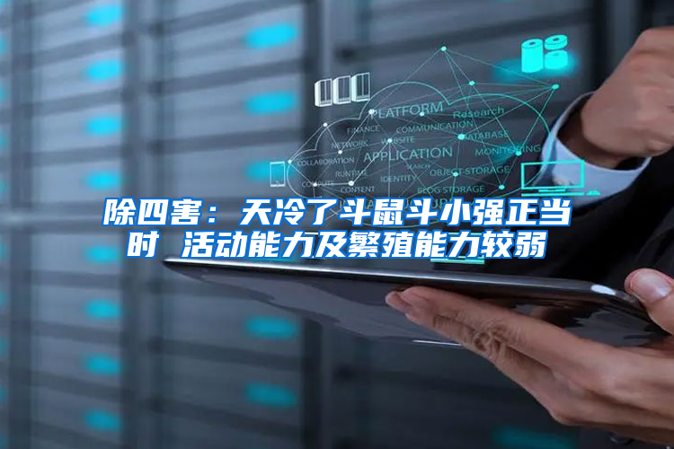 除四害：天冷了斗鼠斗小強(qiáng)正當(dāng)時(shí) 活動(dòng)能力及繁殖能力較弱