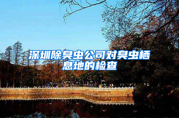 深圳除臭蟲(chóng)公司對(duì)臭蟲(chóng)棲息地的檢查