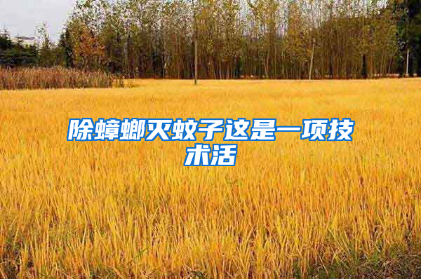 除蟑螂滅蚊子這是一項技術(shù)活