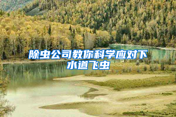 除蟲公司教你科學(xué)應(yīng)對下水道飛蟲