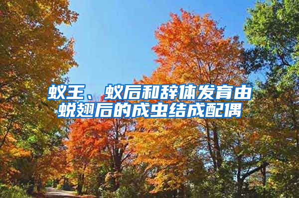 蟻王、蟻后和辭體發育由蛻翅后的成蟲結成配偶