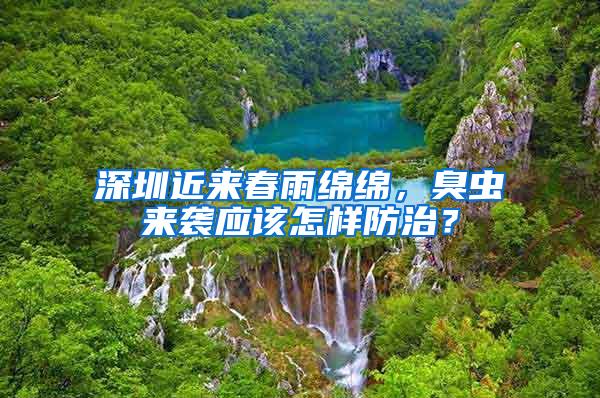 深圳近來春雨綿綿，臭蟲來襲應(yīng)該怎樣防治？