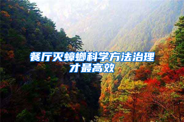 餐廳滅蟑螂科學(xué)方法治理才最高效
