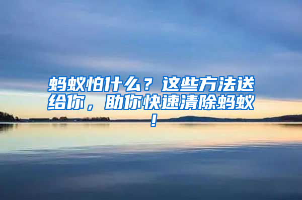 螞蟻怕什么？這些方法送給你，助你快速清除螞蟻！