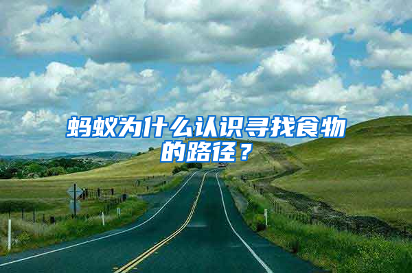 螞蟻為什么認識尋找食物的路徑？
