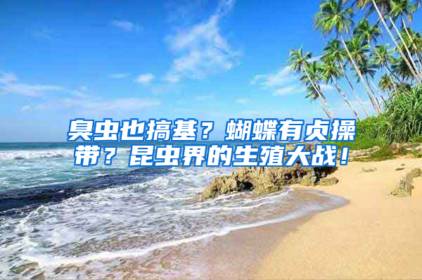 臭蟲也搞基？蝴蝶有貞操帶？昆蟲界的生殖大戰(zhàn)！