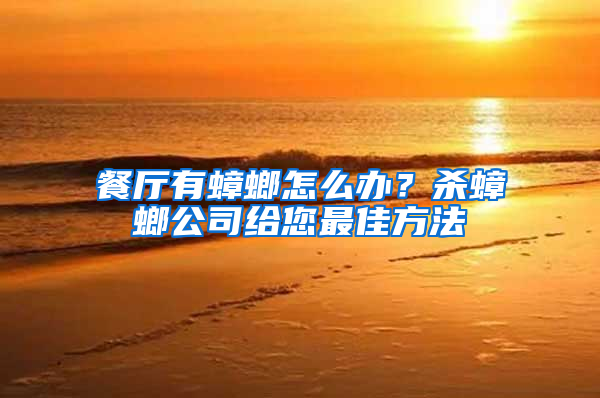 餐廳有蟑螂怎么辦？殺蟑螂公司給您最佳方法
