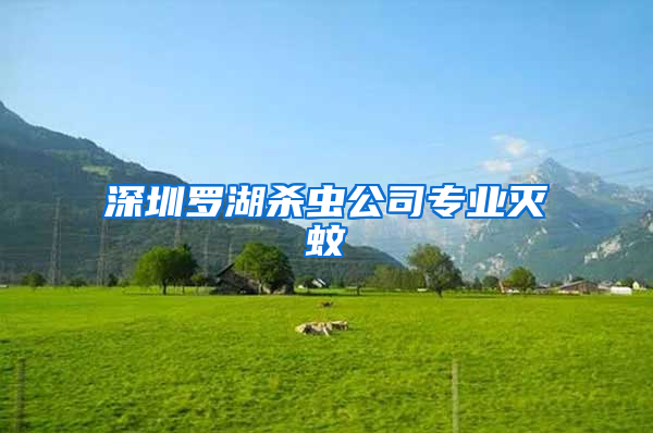 深圳羅湖殺蟲公司專業(yè)滅蚊