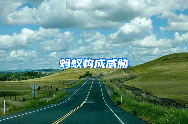 螞蟻構(gòu)成威脅