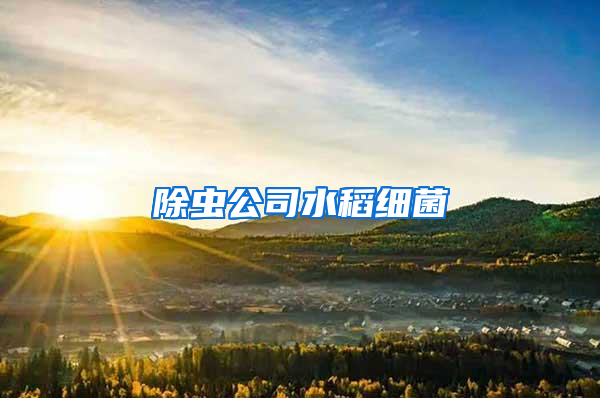 除蟲(chóng)公司水稻細(xì)菌