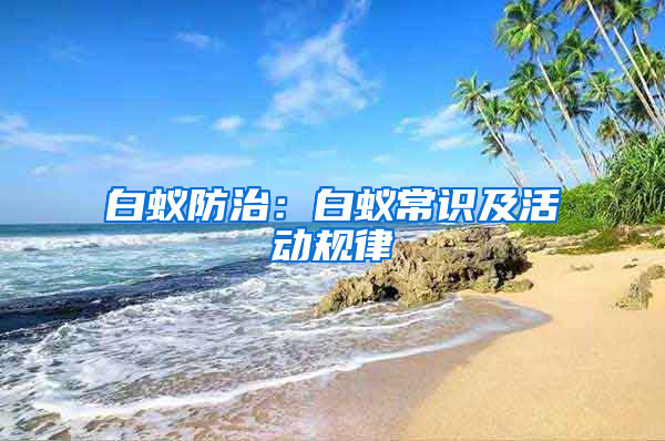 白蟻防治：白蟻常識(shí)及活動(dòng)規(guī)律