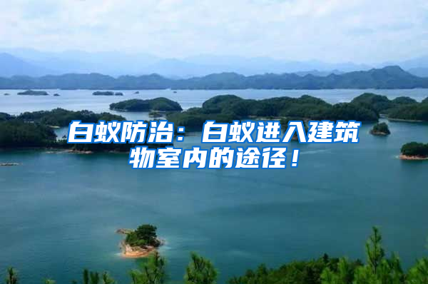 白蟻防治：白蟻進入建筑物室內(nèi)的途徑！