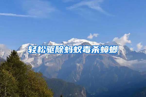 輕松驅(qū)除螞蟻毒殺蟑螂