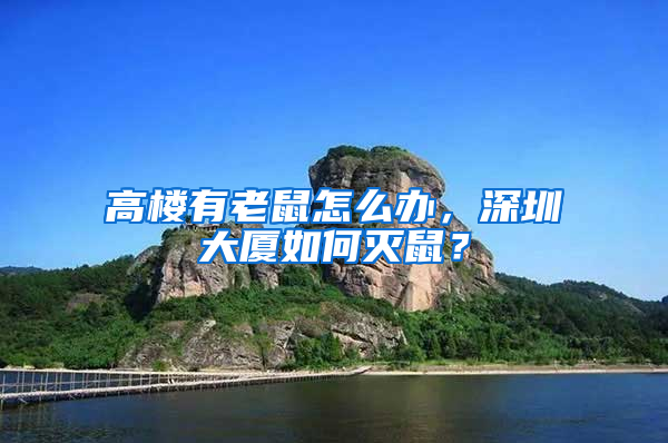 高樓有老鼠怎么辦，深圳大廈如何滅鼠？