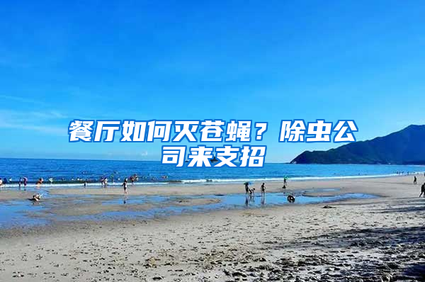 餐廳如何滅蒼蠅？除蟲公司來支招