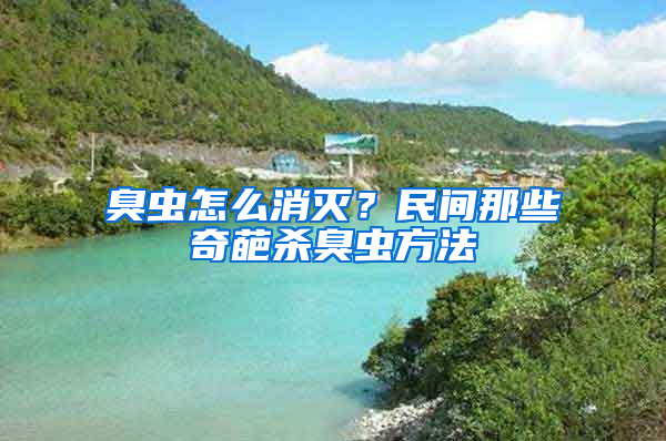 臭蟲怎么消滅？民間那些奇葩殺臭蟲方法