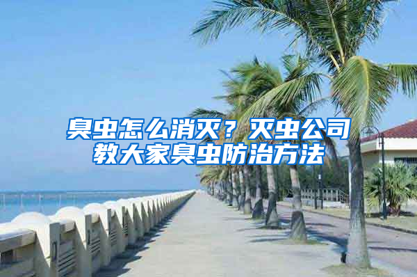臭蟲(chóng)怎么消滅？滅蟲(chóng)公司教大家臭蟲(chóng)防治方法