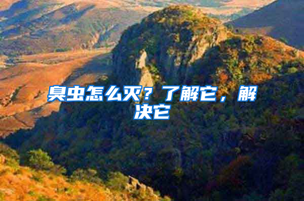 臭蟲怎么滅？了解它，解決它
