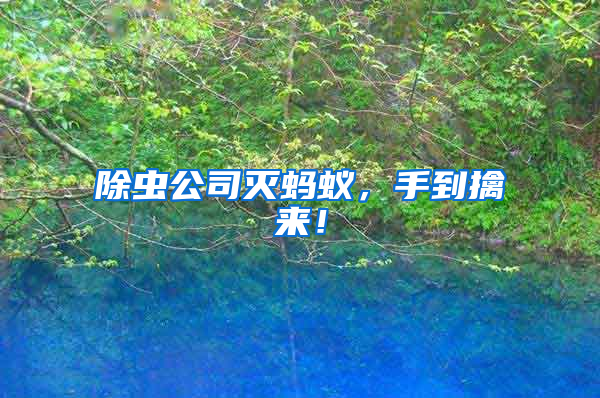 除蟲(chóng)公司滅螞蟻，手到擒來(lái)！