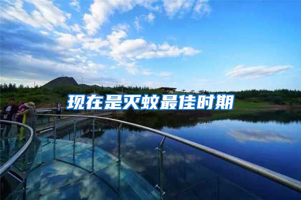 現(xiàn)在是滅蚊最佳時(shí)期
